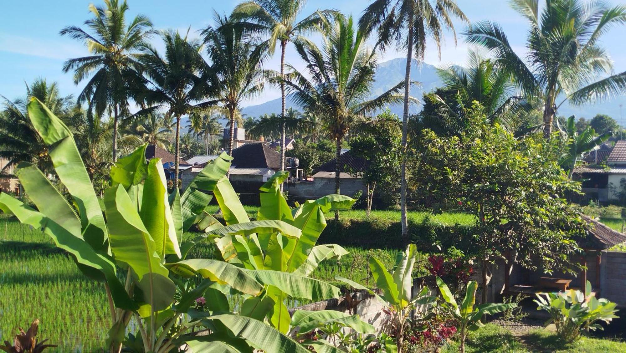 Arista Homestay Tetebatu Exterior photo